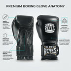 Cleto Reyes Professional Boxing Gloves – Black (Hecho en Mexico)