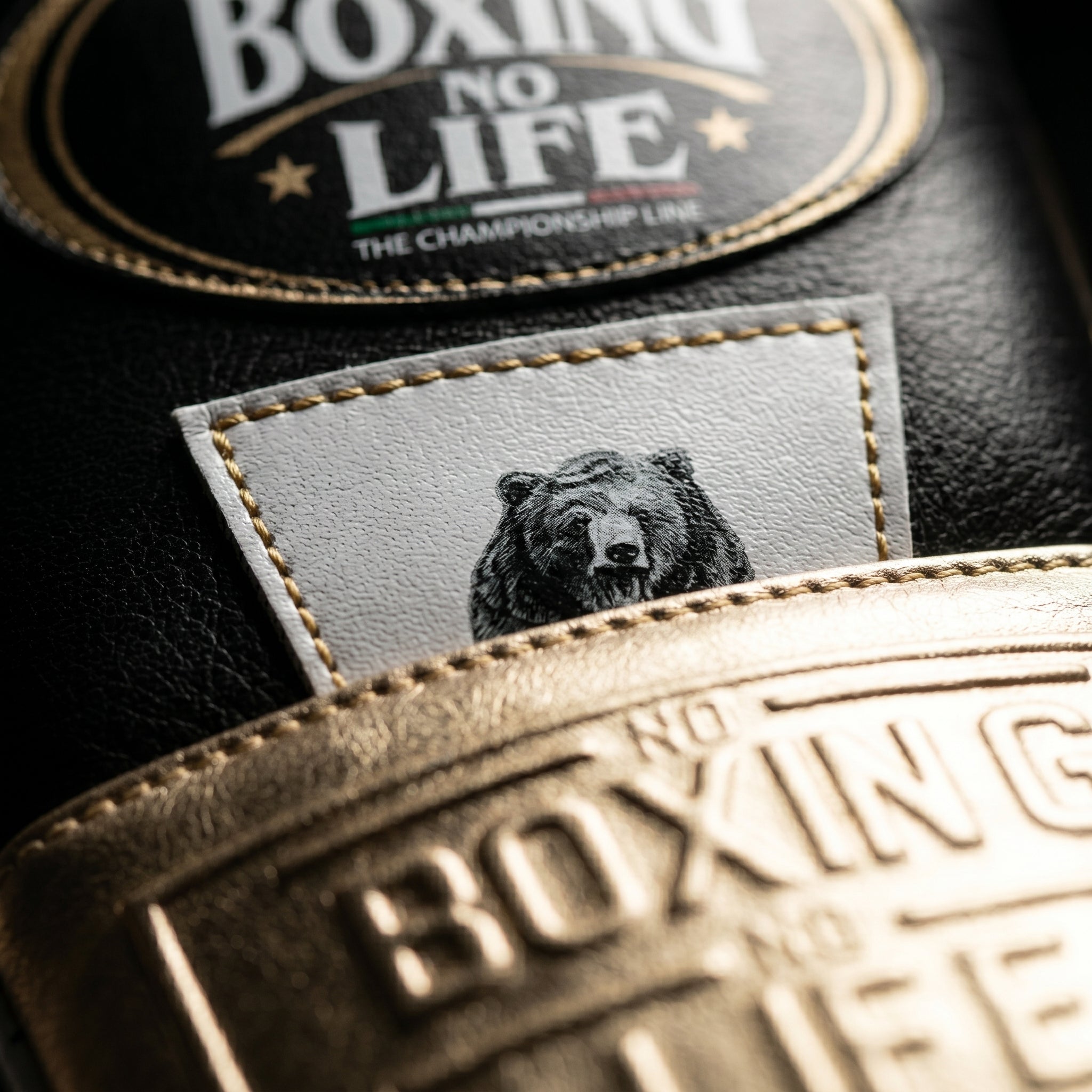 No Boxing No Life NBNL Squad Championship Boxing Gloves – Black/Green/Gold
