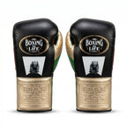 No Boxing No Life NBNL Squad Championship Boxing Gloves – Black/Green/Gold
