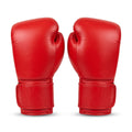 Professional Training Boxing Gloves – Classic Red Velcro